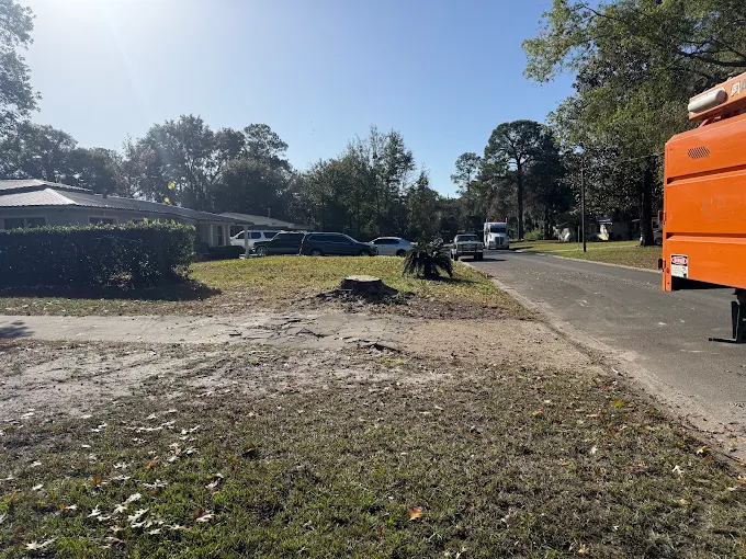 Stump Removal Lake City, FL: Cost and Everything Florida Homeowners Need to Know