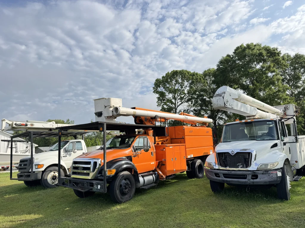 Tree Service Near Florida Gateway College