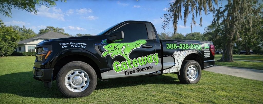 Tree Service Near Lake City-Columbia County Historical Museum, Lake City, FL