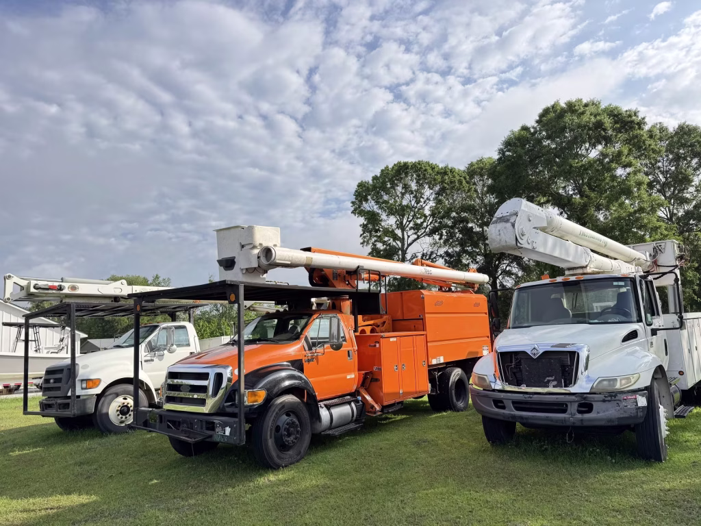 Tree Service Near Columbia Animal Hospital, Lake City, FL