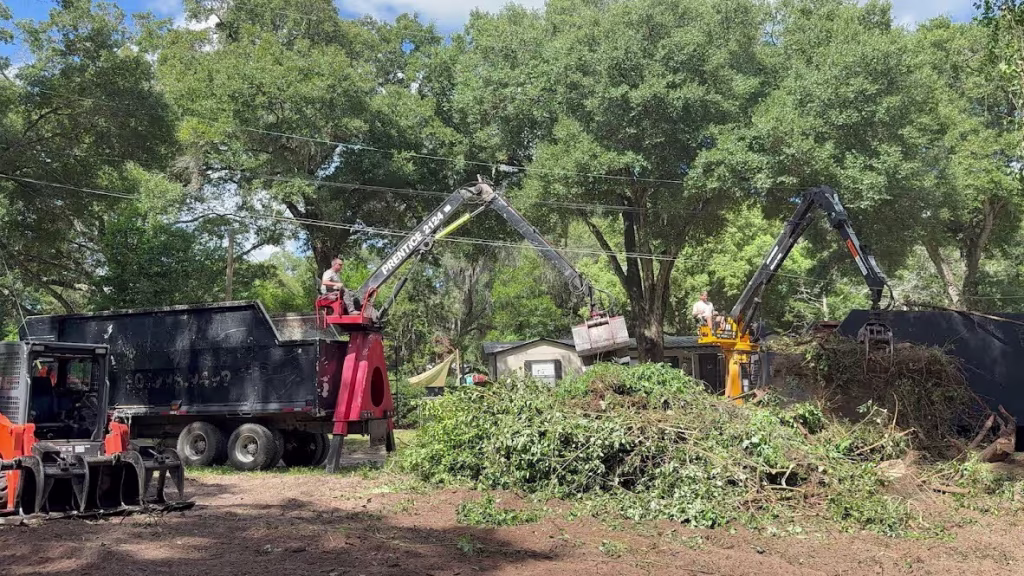 Tree Service Near Lake City VA Medical Center